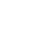 ant
